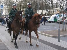 Polizeipferde.jpg